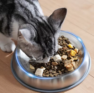304 bol ondulé en acier inoxydable chat et chien chat et chien nourriture moustache protecteur <span class=keywords><strong>anti</strong></span>-<span class=keywords><strong>d</strong></span>érapant <span class=keywords><strong>anti</strong></span>-chute et <span class=keywords><strong>anti</strong></span>-renversement - Product Image 5