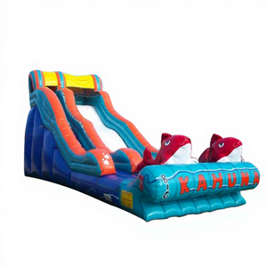 Toboganes secos inflables gigantes comerciales Patio trasero Big Kahuna Tobogán de peces rojos para niños y adultos - Product Image 1