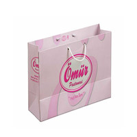 Bolsa de Papel Mate de Primera Calidad con Impresión a Doble Cara en Color Medio, Tamaño Personalizado, Pequeño, Mediano y Grande
