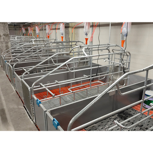 2025 New High Quality Custom Modern Bed Pig Farm Sow Farrowing Crate - Product Image 5