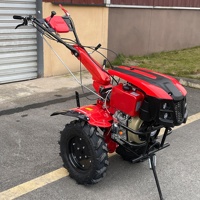 Motoculteur Polyvalent avec Outils pour Labourage Sillonnage Semis Machine d'Agriculture