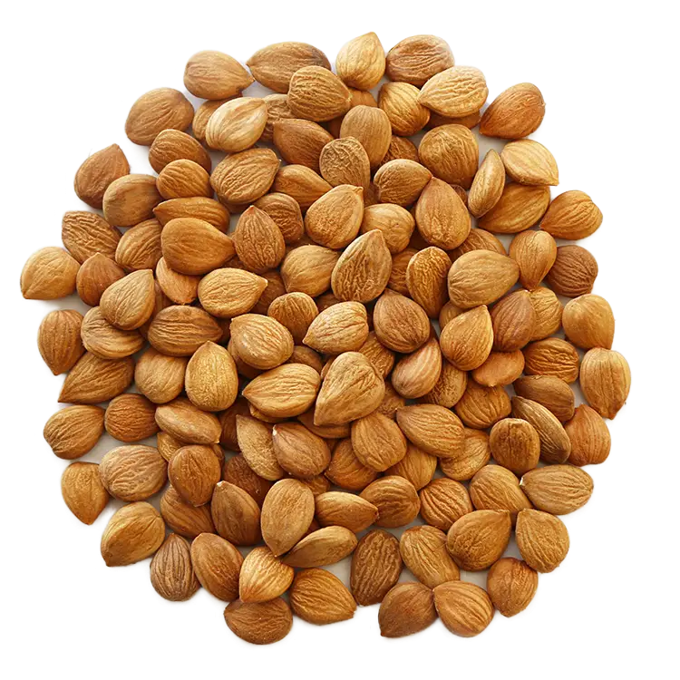 Wholesale Organic Almond Powder Pure Health