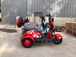 Tricycle électrique à moteur à 3 roues utilisé pour désactiver le tricycle à moteur tricycle électrique pliant - Product Image 3