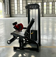 Meilleur prix pour équipement de fitness : Machine à flexions et extensions de jambes en acier avec pile de poids de 80 kg pour l'entraînement musculaire
