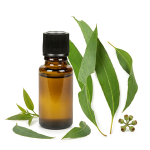 น้ำมันหอมระเหยยูคาลิปตัสบริสุทธิ์ในบรรจุภัณฑ์แบบกำหนดเอง - Product Image 1