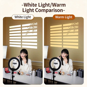 Projecteur de fenêtre décoratif d'intérieur en aluminium, lumière de bienvenue de mariage, logo, image, projecteur <span class=keywords><strong>LED</strong></span> Gobo, lumière simulée de stores - Product Image 4