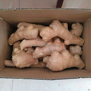 <span class=keywords><strong>Zenzero</strong></span> Fresco Cinese di Qualità da Esportazione, <span class=keywords><strong>Zenzero</strong></span> Coltivato in Fattoria con Certificato Agricolo dello Shandong per Uso Alimentare - Product Image 2
