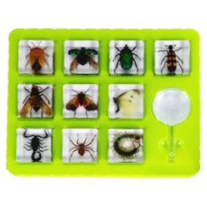 Nhện & bọ cạp paperweight taxidermy mẫu trong món quà nhựa của côn trùng giảng dạy tài nguyên thiên nhiên đồ chơi - Product Image 3