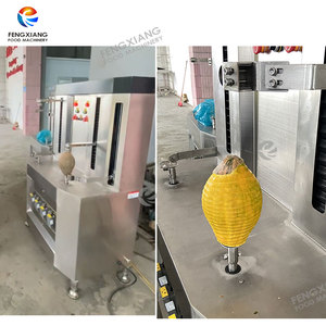 Machine à éplucher les citrouilles, les noix de coco et les légumes à double station, en acier inoxydable SUS 304, haute efficacité et économie d'énergie - Product Image 6
