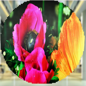 M-SHINE P3 đường kính 260 mét pantalla LED trong nhà ngoài trời Vòng Màn hình Led vòng tròn hiển thị video kỹ thuật số tường thông tư màn hình <span class=keywords><strong>TV</strong></span> - Product Image 2