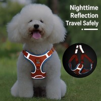 Arnés Reflectante Personalizado al por Mayor para Perros con Logotipo, Conjunto de Correa de Malla Transpirable, Doble Seguridad, Ajustable, Antitirones, para Paseos al Aire Libre