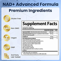 NAD+ Liposomal OEM 1000mg Resvératrol Urolithin-A CoQ10 Antioxydant Soutien de la Santé Cellulaire Végétalien Certifié GMP En Vrac