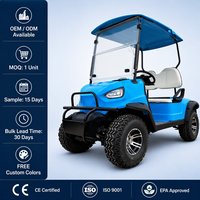 Voiturette de golf à essence 2 places 4 temps GY6 300CC, buggy tout-terrain 2 personnes, couleurs personnalisées OEM, 45 km/h, autonomie 100-120 km