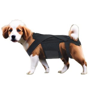 2025 <span class=keywords><strong>Dog</strong></span> Back Brace para perros Artritis <span class=keywords><strong>Protector</strong></span> de espalda Ayuda a aliviar el dolor Recuperación y rehabilitación quirúrgica - Product Image 1