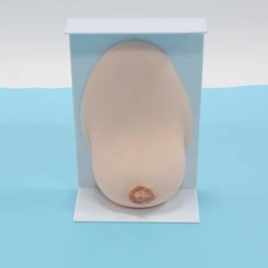 RF-3 의료 교육 모형 산모 간호 수유 기간 여성 유방 모형 - Product Image 2