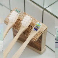 Brosse à dents jetable écologique pré-collée brosse en bambou naturel à poils souples biodégradable emballé individuellement pour un usage domestique
