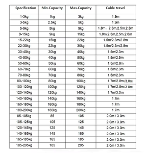 30kg 40kg 50kg 60kg 80kg 100kg 120kg cân bằng tải lò xo treo cân bằng 2.5m đột quỵ - Product Image 6