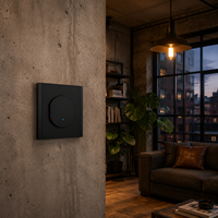 Interrupteur mural moderne 16A 250V à câblage rapide sans vis, petit bouton PC avec indicateur LED, vente en gros