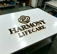 Enseigne lumineuse pour clinique dentaire, panneau mural personnalisé en acrylique LED, enseigne lumineuse pour physiothérapie