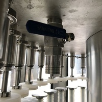1000-1800BPH Ligne de production de remplissage de champagne Bouteille en verre automatique boissons Machine de remplissage de vin rouge/bouchon de liège