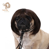 Perruques pour chats et chiens à poils bouclés ou raides, en polyester écologique imprimé, pour mode, loisirs, Halloween, été, printemps et festivals
