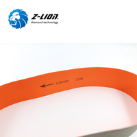 Bandes abrasives en verre diamanté Z Lion 1180*80mm pour machine Lisec