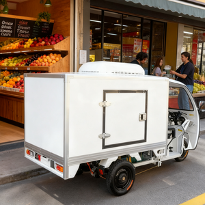 Tricycle Motorisé avec Chambre Froide et Système de Contrôle Électronique Intelligent Tricycles Motorisés avec Chambre Froide Tricycle à 3 Roues avec Chambre Froide - Product Image 3
