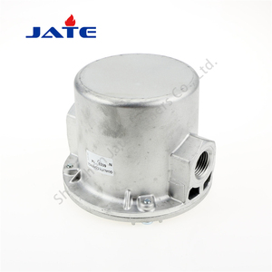 Le filtre à gaz naturel/GPL Giuliani 70631/6B (2") d'Italie convient aux équipements d'énergie thermique tels que les fours et les incinérateurs - Product Image 3