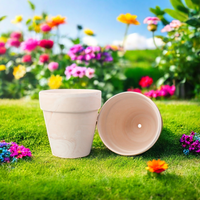 Pots de plantes en terre cuite en gros, pots de décoration en céramique pour plantes d'intérieur et d'extérieur, utilisés pour les succulentes