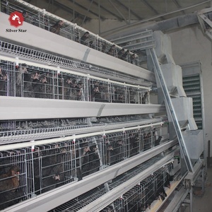 Automatische <span class=keywords><strong>ladder</strong></span> kip laag kooi, automatische kip schuur voor legkippen - Product Image 4