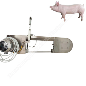 Cow Processing Machine Robotic Carcass Splitting Saw Pig Carcass Cutting Saw - Product Image 3