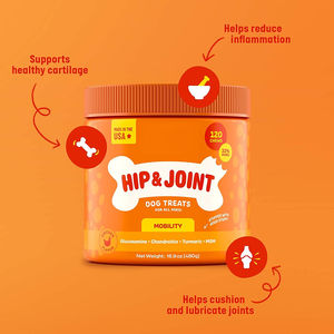 OEM-Masticables suaves orgánicos para la salud de la cadera y las articulaciones con condroitina y MSM para perros que reducen las molestias y mejoran la movilidad - Product Image 3