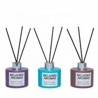 Bouteille en verre de grande capacité Cadeau de luxe Bâton de bougie en cire de soja Huile parfumée Aroma Reed Diffuseur