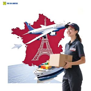 中国 DDP 海运货运代理门到门服务欧洲英国法国德国仓库服务有竞争力的价格7×24小时支持 - Product Image 6