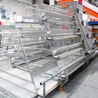 VENTE FLASH Cage à poulets entièrement automatique de type A de haute qualité pour l'alimentation des animaux