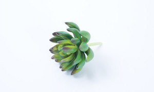 Artificial plantas suculentas de una sola pieza de alta calidad de plástico <span class=keywords><strong>planta</strong></span> real touch plantas hermosa de <span class=keywords><strong>planta</strong></span> - Product Image 4