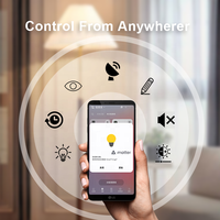 Bilihondim EU Matter Smart Home Rotary Plug-in Dimmer 1 Canal 200W Contrôle Sans Fil Faible Consommation d'Énergie Statique
