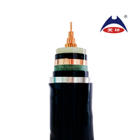 Cable de Alimentación ZR YJV62 26/35kV, Monofásico, Retardante de Llama, Aislamiento XLPE, Cubierta STA PVC, 50mm 70mm 95mm, para Estación de Energía Ferroviaria, 500m