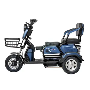 Triciclo eléctrico de 3 ruedas de cuerpo pequeño de 500W para Scooter Eléctrico para ancianos, triciclo eléctrico deportivo de ocio para adultos, motocicleta