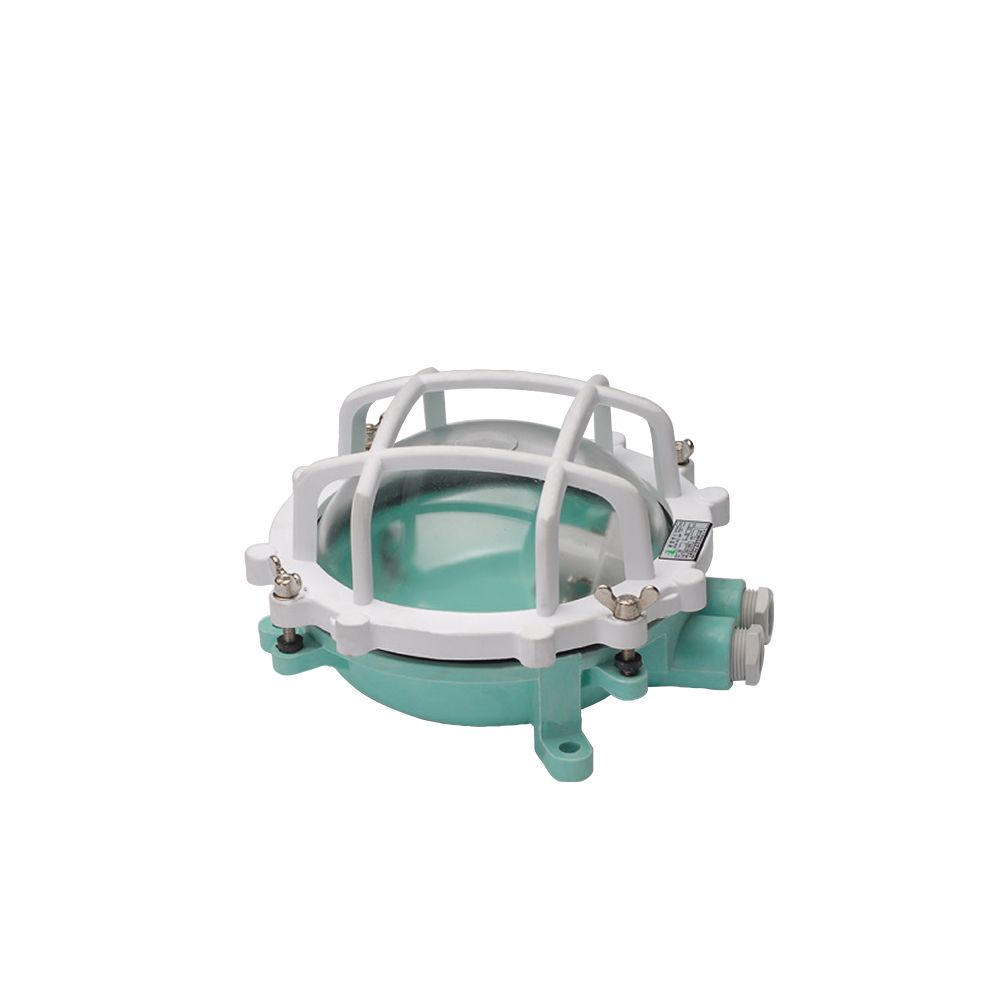 Pendant Work Light W