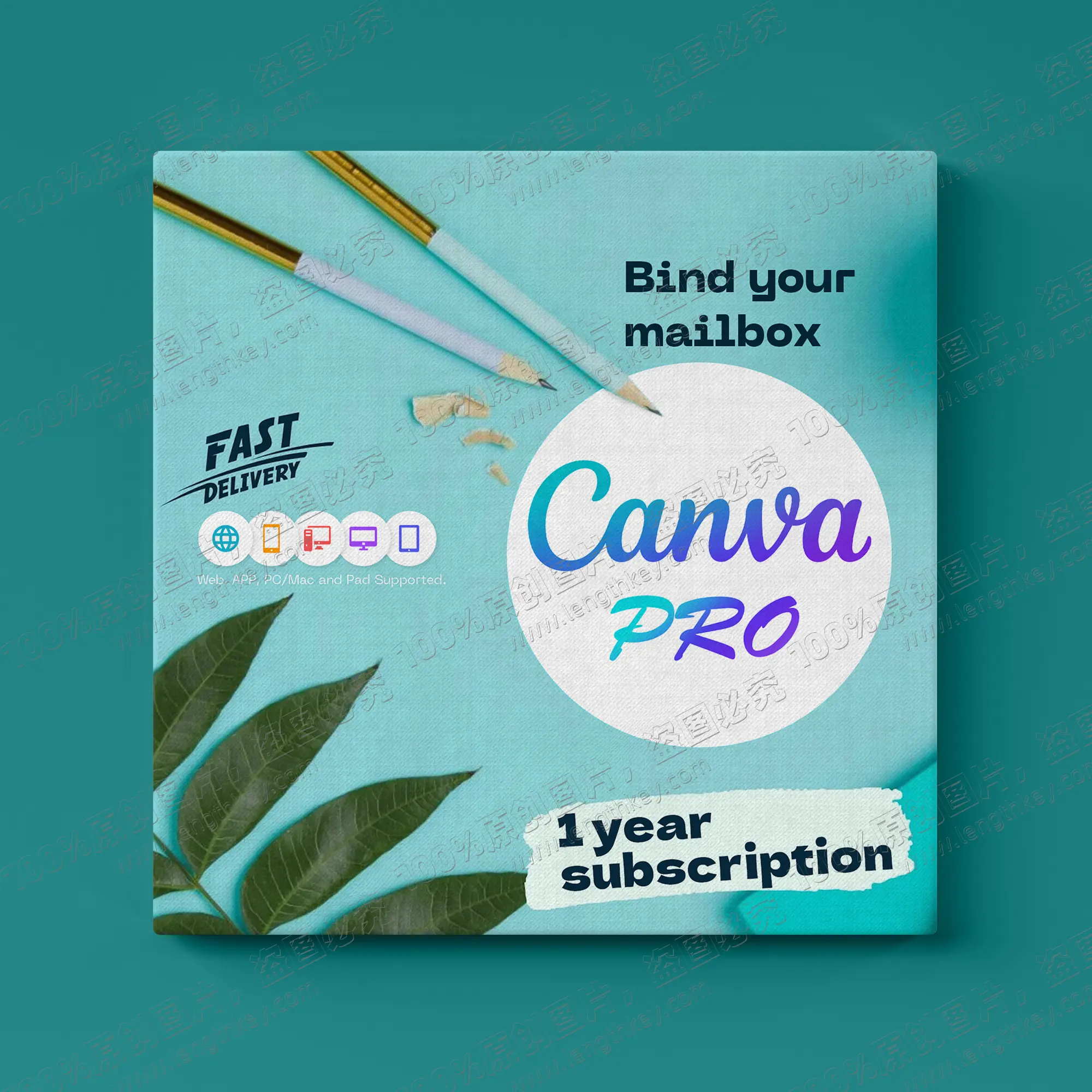 CanvaProプライベートアカウント1年間の公式本物のオリジナルメール配信オンライングラフィックデザインソフトウェア