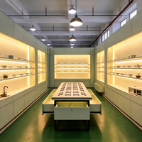 Vitrines de bijouterie sur mesure avec éclairage LED ; service de conception de boutique gratuit pour les horlogers de luxe