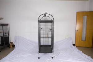 Cage à oiseaux classique en fer forgé, cage à perroquets solide, grande maison pour animaux de compagnie avec roues, bouton-pression - Product Image 6