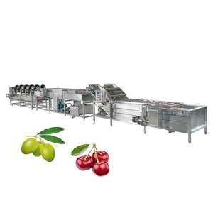 Machine multifonctionnelle de nettoyage d'oignons pour les grossistes - Product Image 4