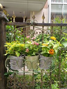 Vendita Diretta di Supporti per Piante da Giardino <span class=keywords><strong>in</strong></span> <span class=keywords><strong>Ferro</strong></span> Stile Europeo con Finitura Anticata, Decorazioni da Parete e Supporti per Davanzali - Product Image 1