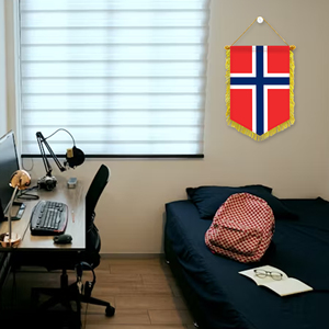 Mini 20x30cm Pennant Car Flags Norway Wall Decor Display Accessories <b>Small</b> Ornaments for Hanging - Product Image 3
