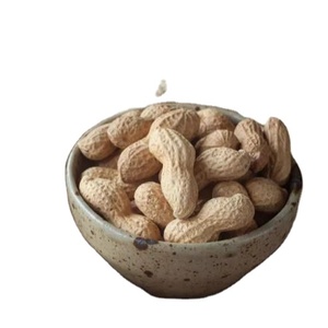 Đậu Phộng Rang Muối Phủ - Product Image 1