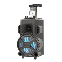 Altavoz Bluetooth de 20W para Fiestas con Karaoke, Luces RGB y Asa Portátil, Altavoz para Eventos en Interiores/Exteriores para DJ, Fiestas en Casa