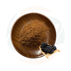 चीन-जड़ी बूटी आपूर्ति प्रीमियम रेहमैनिया ग्लूटिनोसा अर्क पाउडर | प्राकृतिक डी हुंग हर्बल घटक - Product Image 1