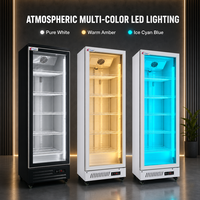 Réfrigérateur commercial sur mesure de 500 L avec vitrine, réfrigérateur à bière, refroidisseur de boissons énergisantes à porte vitrée